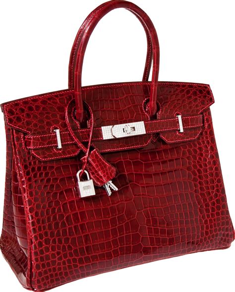 birkin di hermes foto|hermes birkin bag.